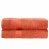 Superior Contemporary Quick-Drying Zero-Twist Cotton 2-Piece Bath Sheet Set
